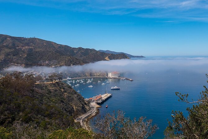 2 hour Inside Adventure Tour on Catalina Island - A rough road into Catalina’s protected interior