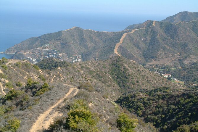 2 hour Inside Adventure Tour on Catalina Island - Guides bring the island’s story to life