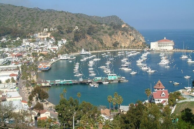 2 hour Inside Adventure Tour on Catalina Island - Who should book this ride?