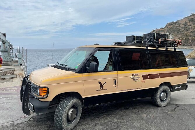 2 hour Inside Adventure Tour on Catalina Island - Watching for bison, foxes, and birds