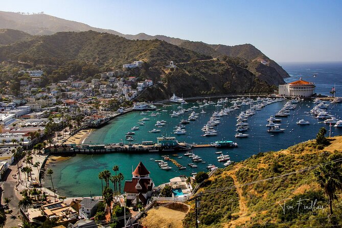 2 Hour Private Tour of Avalon - A quick way to get above Avalon
