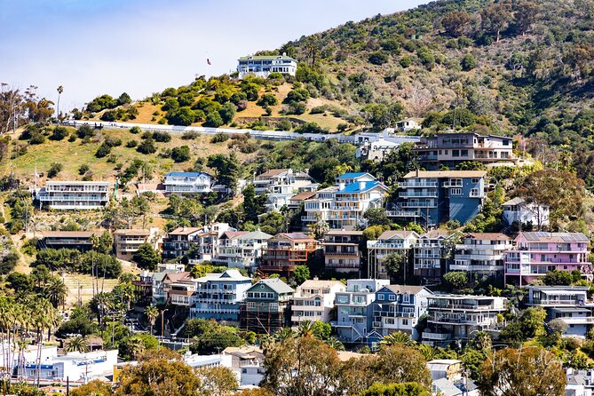 2 Hour Private Tour of Avalon - A private tour for families and small groups