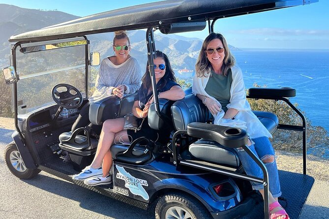 2 Hour Private Tour of Avalon - What two hours can show you