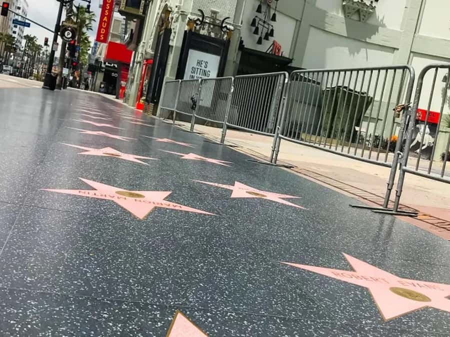 Anaheim: Hollywood Grand Tour with Hotel Pickup - Hollywood Boulevard and the Chinese Theatre