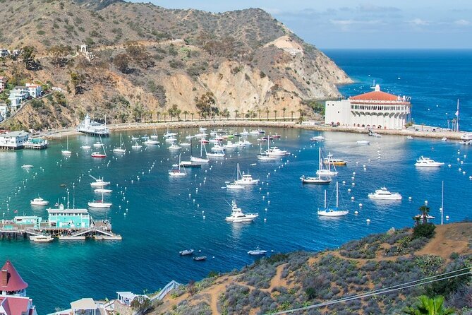 Avalon City: A Self-Guided Audio Tour - Who will enjoy this walk most
