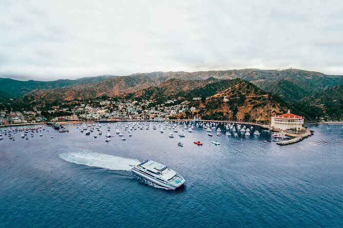 Catalina Express: Avalon to San Pedro One-Way Ferry - Leaving Avalon and reaching the terminal