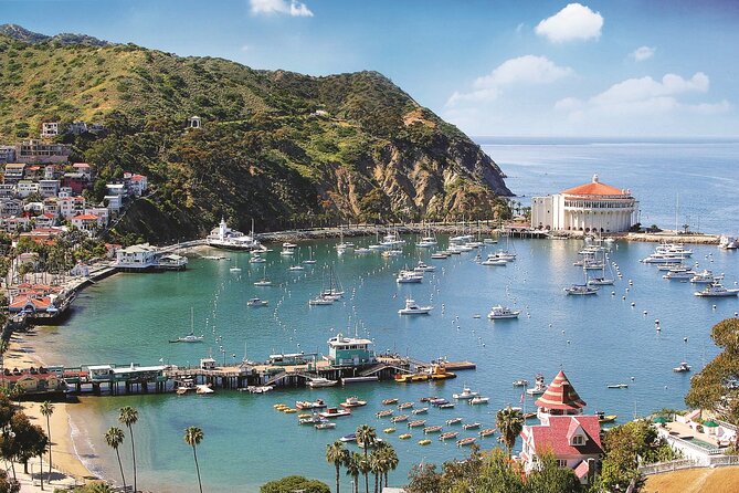 Catalina Express: Avalon to San Pedro One-Way Ferry - Making this leg part of a Catalina trip