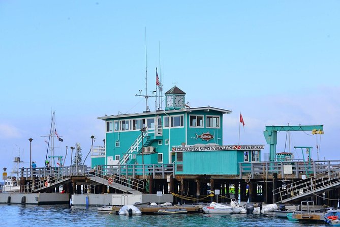 Catalina Express: San Pedro to Avalon One-Way Ferry - Who will get the most from this ferry