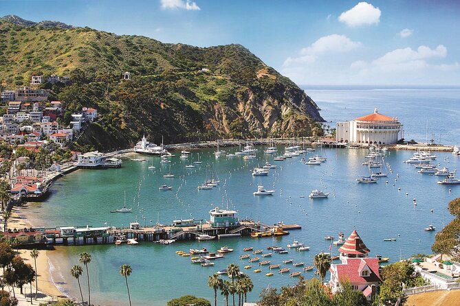 Catalina Express: San Pedro to Avalon One-Way Ferry - Should you book the San Pedro to Avalon ferry?