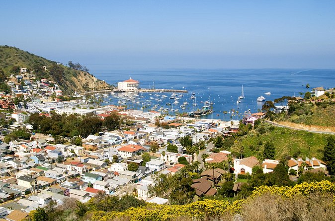 Catalina Island Avalon Highlights Walking Tour - Ending at Descanso Beach Club