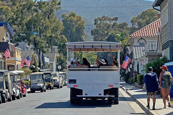 Catalina Island City and Scenic Mt Ada Tour - At a glance