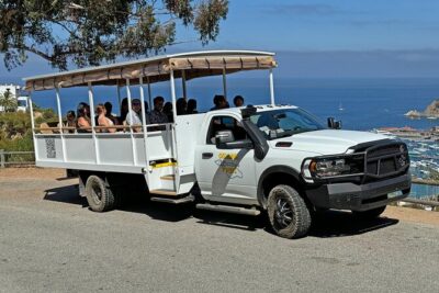 Catalina Island City and Scenic Mt Ada Tour