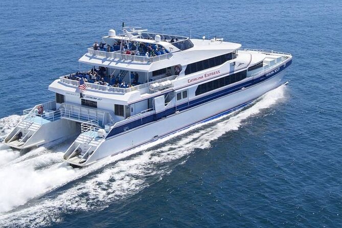Catalina Island Day Trip from Anaheim Hotels with Discover Avalon Tour - A full day from Anaheim to Avalon