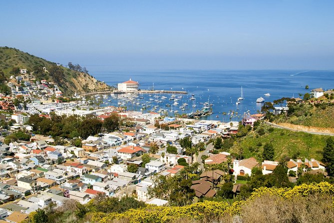 Catalina Island Day Trip from Anaheim Hotels with Discover Avalon Tour - Green Pleasure Pier and a meal in Avalon
