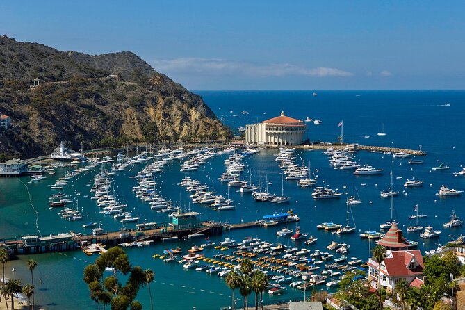 Catalina Island Day Trip from Anaheim Hotels with Discover Avalon Tour - Small-group promise and what to clarify