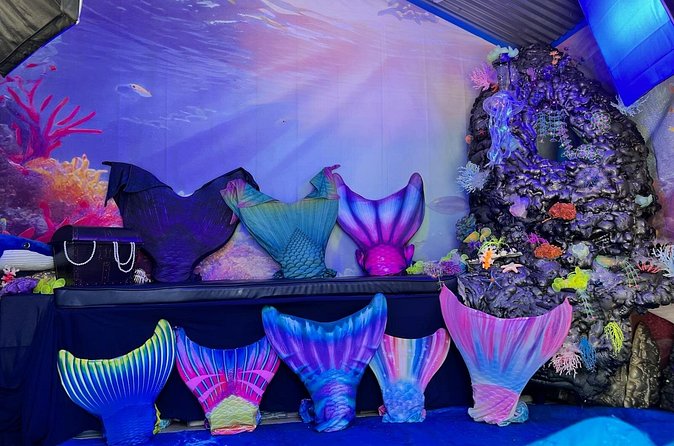 Catalina Island Mermaids Transformation - A Good Fit for Families and Celebrations
