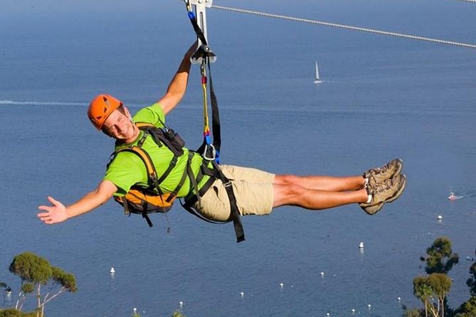 Catalina Island Trip with Hotel transfers & Optional tours - Take the 50-minute Avalon scenic tour to get oriented