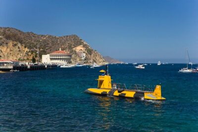 Catalina Island Trip with Hotel transfers & Optional tours