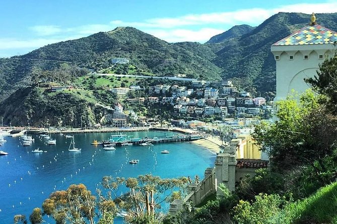 Discover Avalon: Catalina Scenic Tour - A short ride that puts Avalon in context