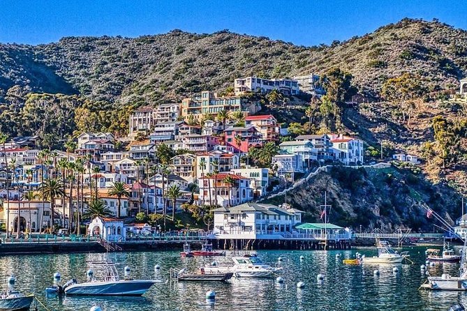 Discover Avalon: Catalina Scenic Tour - The beachfront, hillside roads, and harbor views
