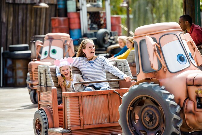Disneyland Resort Anaheim Tickets in California - Who should book this ticket?