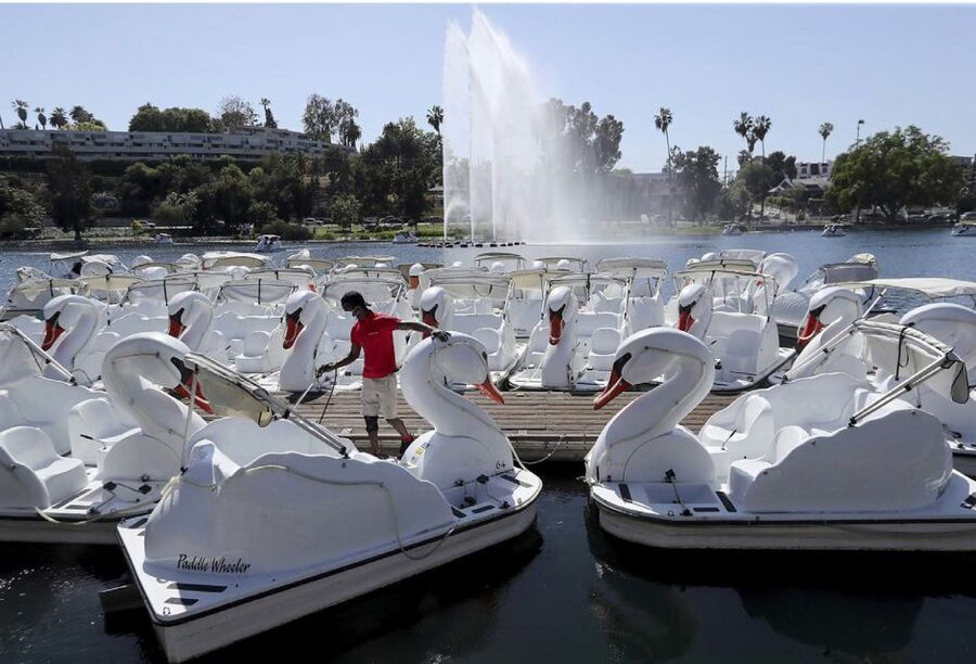 Echo Park Lake: Swan Pedal Boat Rental - A city view from the middle of Echo Park Lake