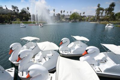 Echo Park Lake: Swan Pedal Boat Rental