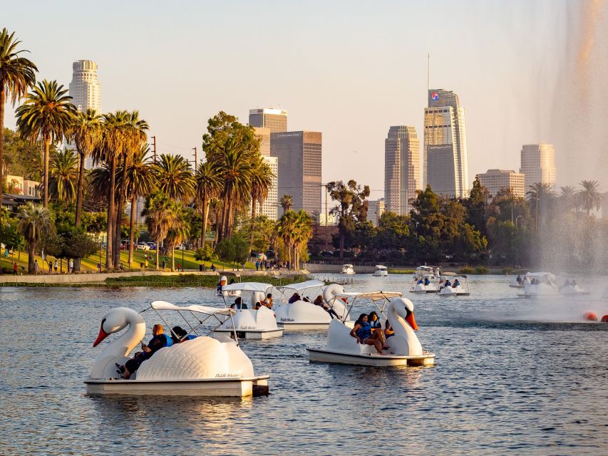 Echo Park Lake: Swan Pedal Boat Rental - Is $13 per person good value?