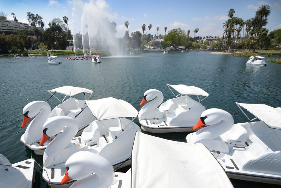 Echo Park Lake: Swan Pedal Boat Rental - The fountain, lotus beds and wildlife