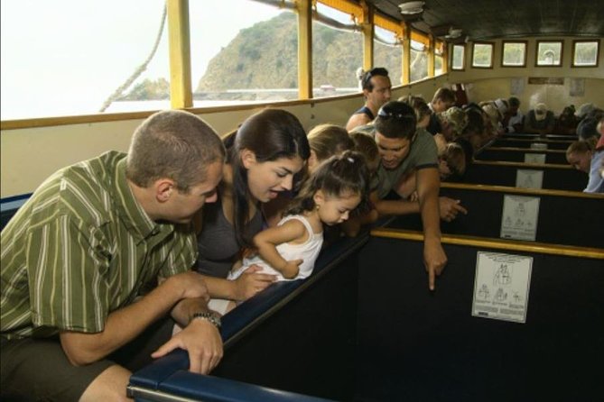 Glass Bottom Boat: Catalina Island Tour - Looking through the glass at Lover’s Cove