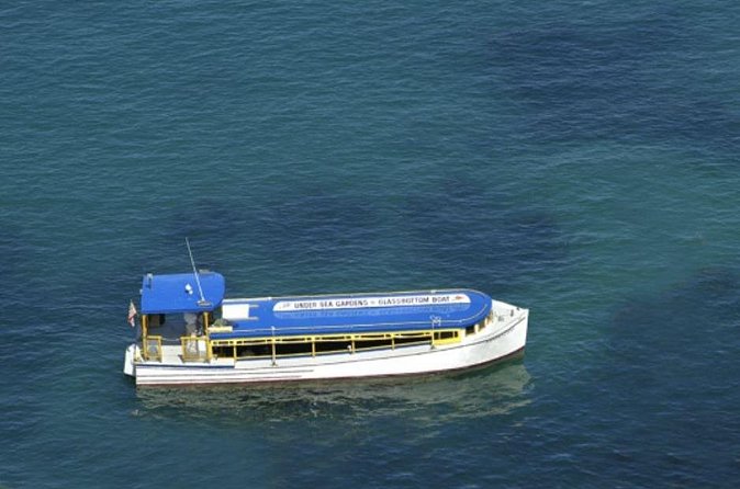 Glass Bottom Boat: Catalina Island Tour - Why this works well for families and non-swimmers