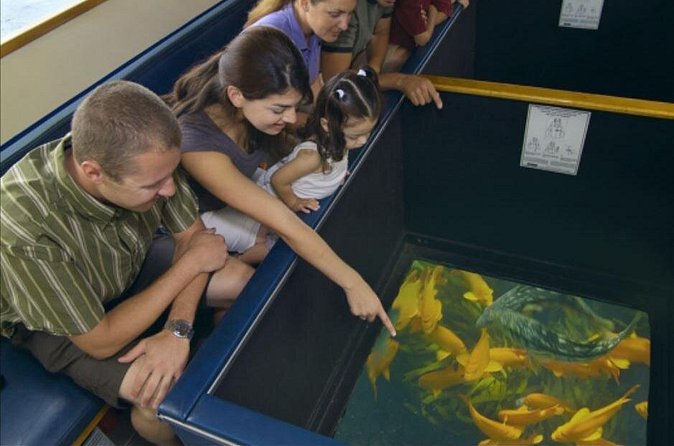 Glass Bottom Boat: Catalina Island Tour - Who should book this Catalina boat ride?