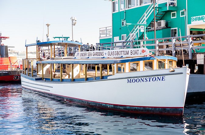 Glass Bottom Boat: Catalina Island Tour - FAQ
