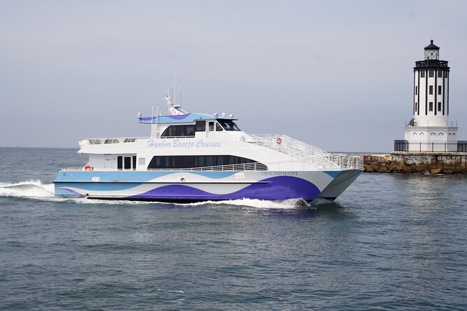 Guided Whale Watching Tour from Long Beach - What to bring and how to prepare