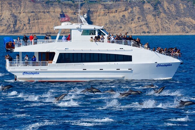 Guided Whale Watching Tour from Long Beach - Should you book it?