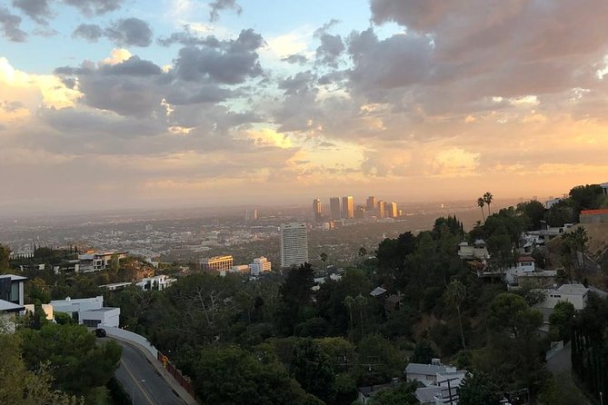 Hollywood, Beverly Hills and Celebrity Homes Open Air Van Tour - Who will enjoy this tour most?