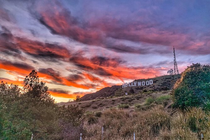 Hollywood Sign Express Tour with Comedians and Their Dogs - The $12 price and what it covers