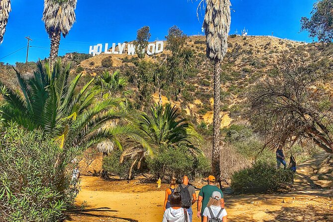 Hollywood Sign Express Tour with Comedians and Their Dogs - Timing, effort, and what to bring