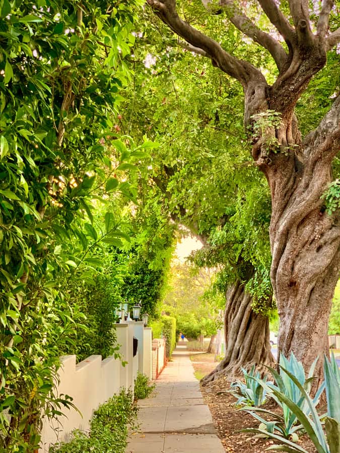 Hollywood Walking & Hiking Sunset Tour with LA Skyline Views - Is $25 good value?