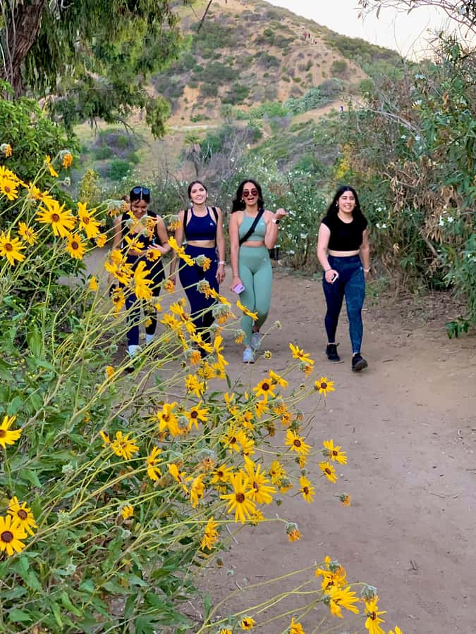 Hollywood Walking & Hiking Sunset Tour with LA Skyline Views - FAQ