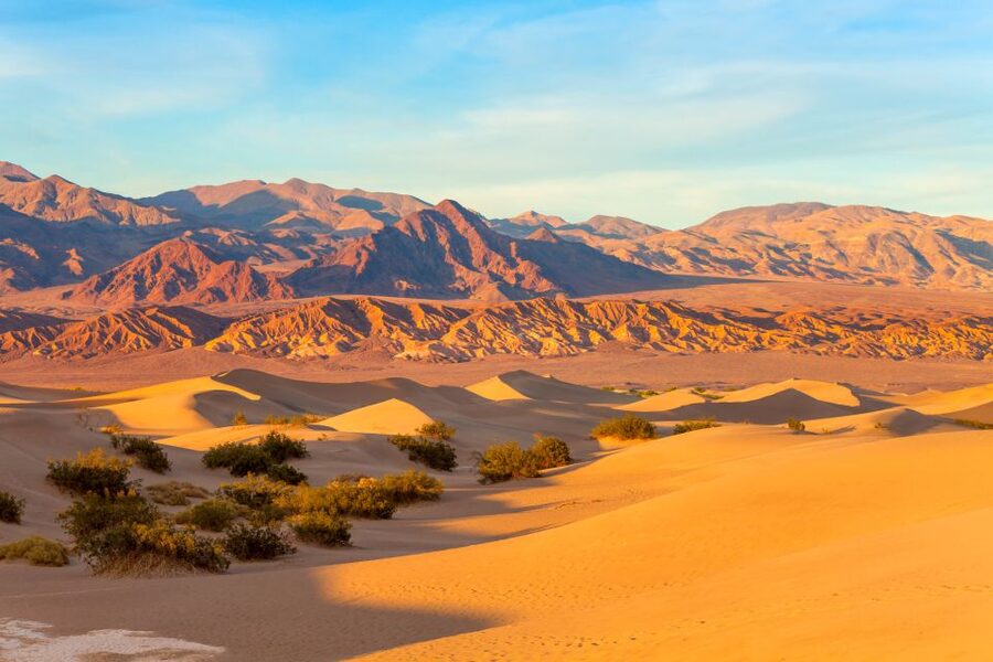 LA: 2-Day Las Vegas Tour with Hoover Dam & Accommodation - Harrah’s: one night in a central location