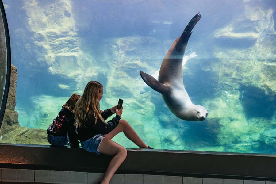 LA: Aquarium of the Pacific Skip-the-Line Entry - Follow the habitats from California to the tropics