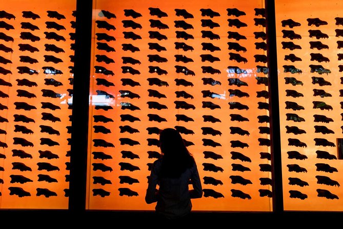 La Brea Tar Pits and Museum Admission Ticket with Excavator Tour - Take the Excavator Tour for the bigger picture