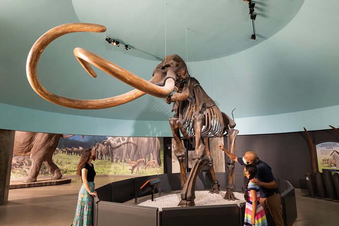 La Brea Tar Pits and Museum Admission Ticket with Excavator Tour - Should you book it?