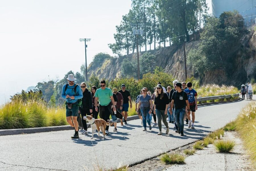 LA: Express Hollywood Sign Guided Walking Tour with Photos - Is $15 good value?