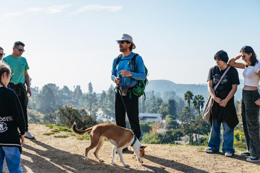 LA: Express Hollywood Sign Guided Walking Tour with Photos - Who should book this hike?