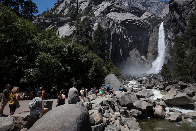 LA: San Francisco, Yosemite, Santa Barbara & Carmel, 3-Days - The guide and vehicle can shape the whole trip