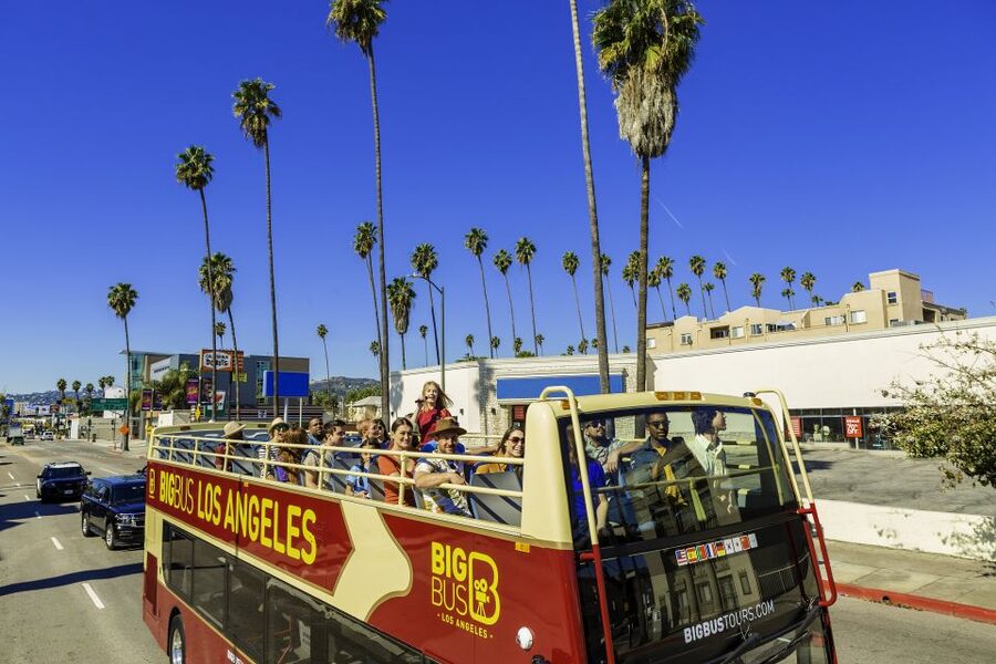 LA: TMZ Celebrity Tour & Big Bus 24-Hour Hop-on Hop-off Tour - Who is likely to enjoy this tour?