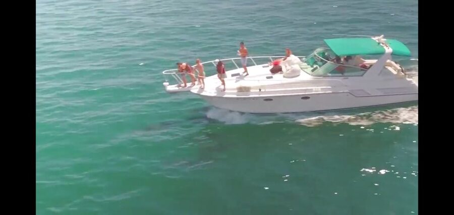 Long Beach: 2-Hour Private Group Yacht Cruise - At a glance