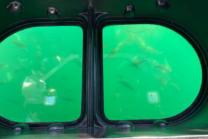 Long Beach Glass Bottom Boat Eco-Tour - A one-hour look at Long Beach from the water